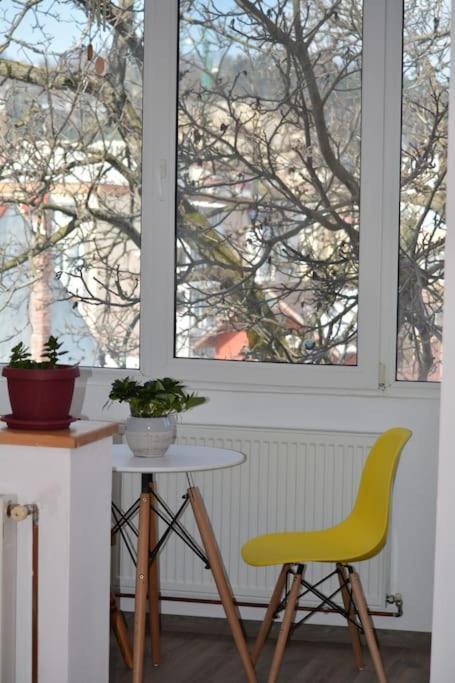 Apartament Spatios In Brasov Ngoại thất bức ảnh