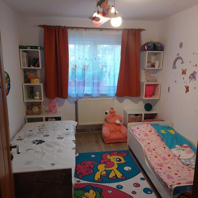 Apartament Spatios In Brasov Ngoại thất bức ảnh