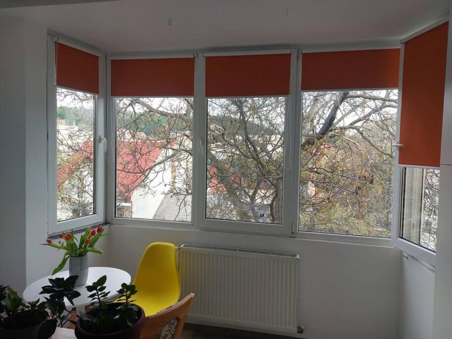 Apartament Spatios In Brasov Ngoại thất bức ảnh